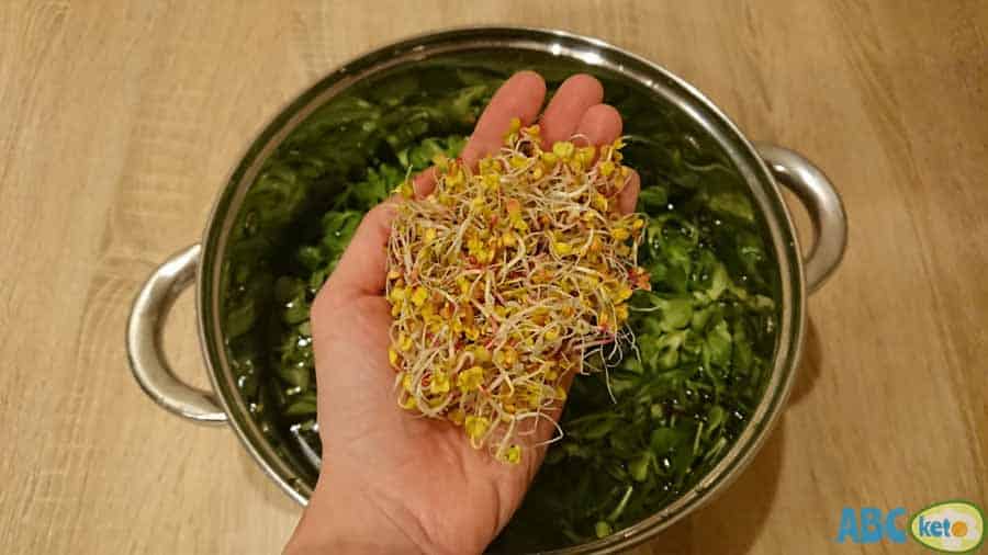Keto egg salad ingredients, radish sprouts