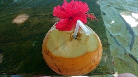 can you drink energy drinks while fasting